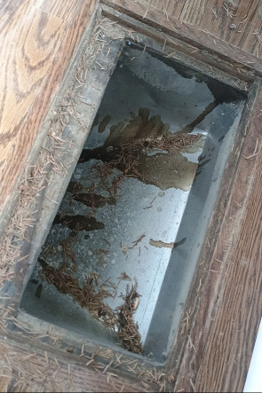 Rush Pro Vent Cleaning about